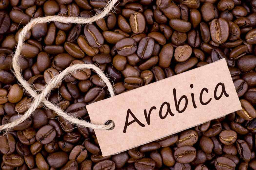 is arabica coffee strong